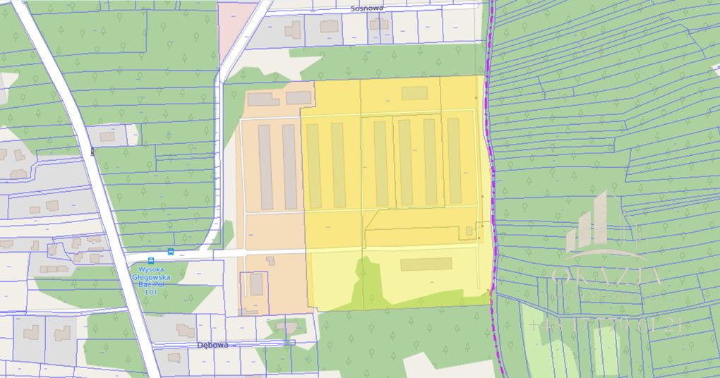 Działka inwestycyjna Wysoka Głogowska. Zdjęcie 7