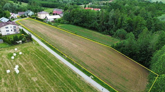 Działka rolno-budowlana Dębowa. Zdjęcie 1