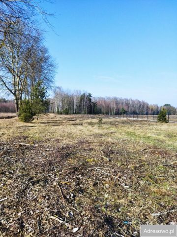 Działka budowlana Borsukówka. Zdjęcie 1