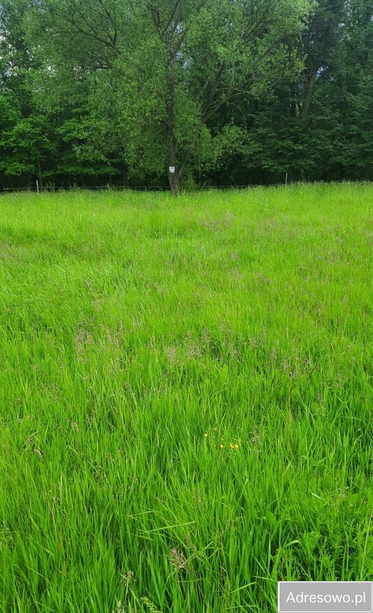 Działka rolno-budowlana Długopole Górne. Zdjęcie 2