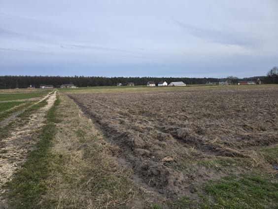Działka rolna Pawęzów. Zdjęcie 1
