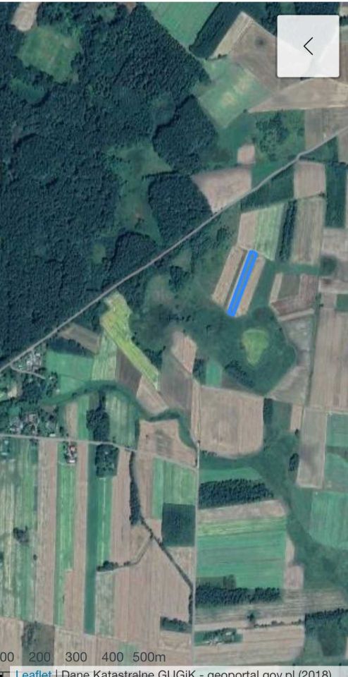 Działka rolna Deszkowice Drugie Lipiny. Zdjęcie 2