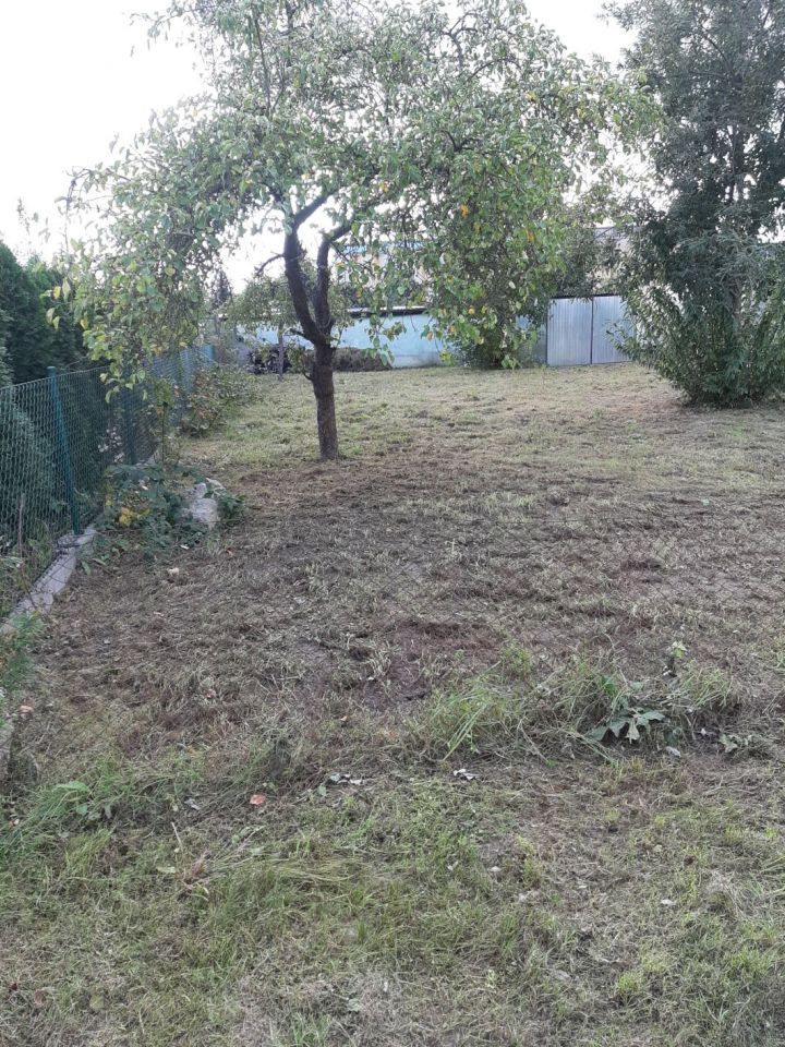 Działka rod Szamotuły, ul. Sportowa