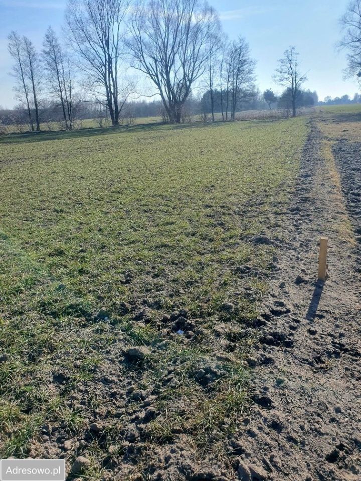 Działka budowlana Borzęcin Mały, ul. Chabrowa. Zdjęcie 4