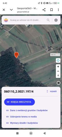 Działka leśna Rogoźnica. Zdjęcie 1