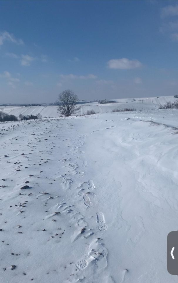 Działka rolno-budowlana Włostowice. Zdjęcie 2