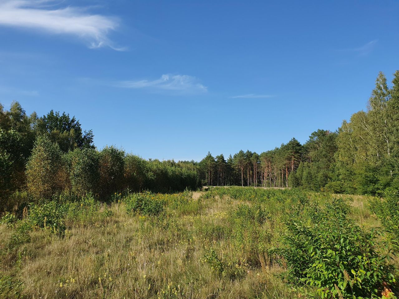 Działka budowlana Klembów. Zdjęcie 3