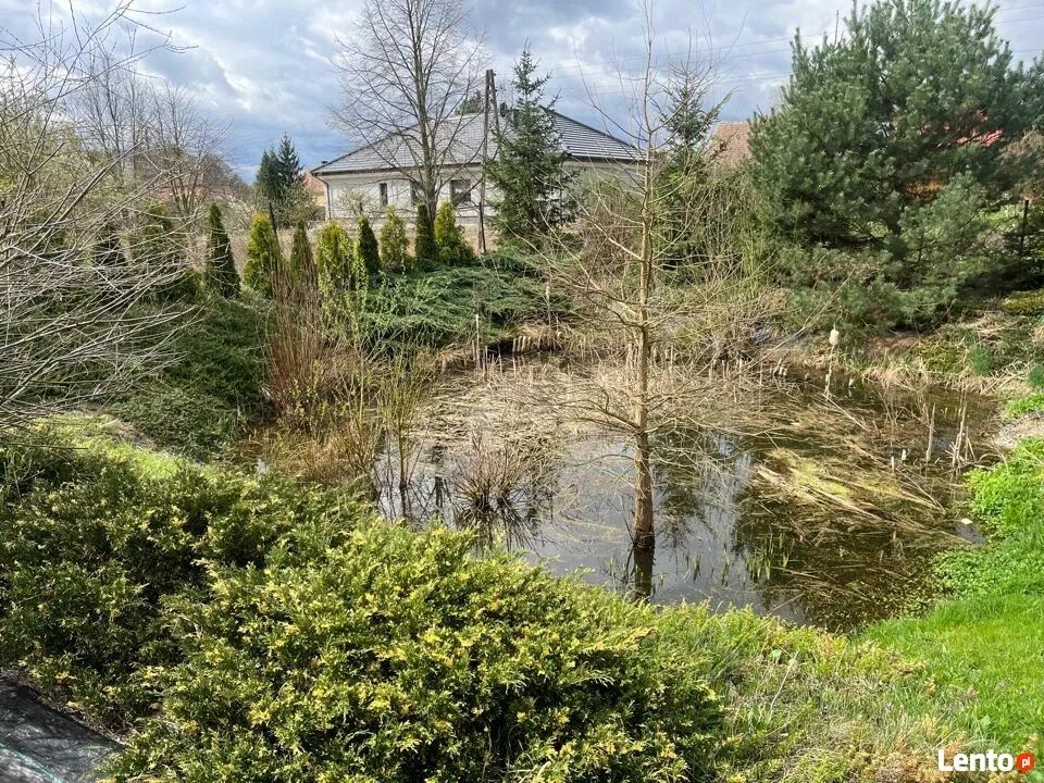 dom wolnostojący, 4 pokoje Stary Żagań. Zdjęcie 7