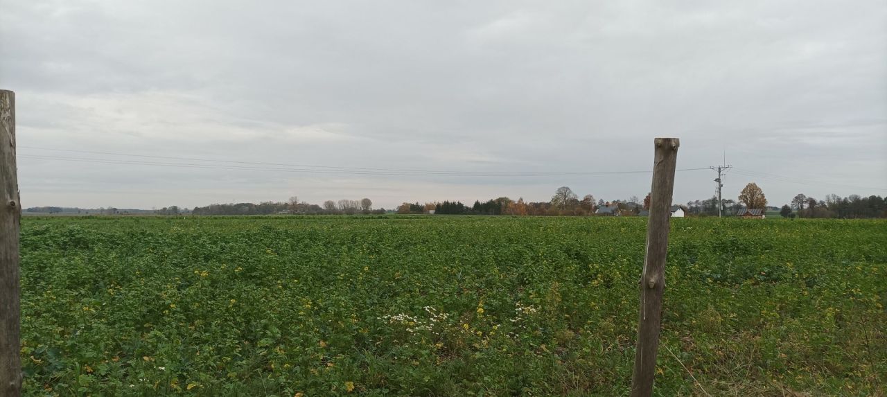 Działka budowlana Sroczyn. Zdjęcie 4