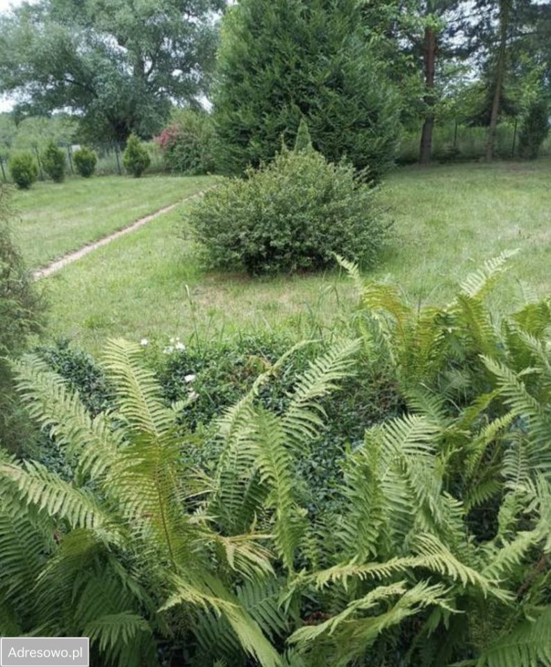 Działka rolno-budowlana Duchnów, ul. Nizinna. Zdjęcie 3