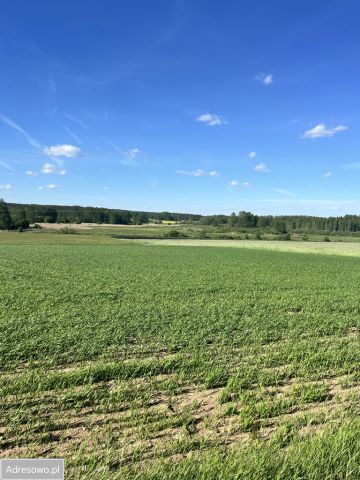 Działka budowlana Białogorce. Zdjęcie 1