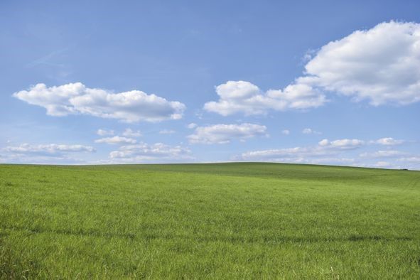 Działka rolno-budowlana Haczów. Zdjęcie 1