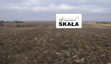 Działka rolna Gołcza