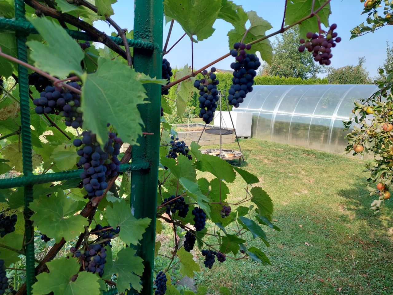 Działka rod Sanok Biała Góra, ul. Biała Góra. Zdjęcie 3