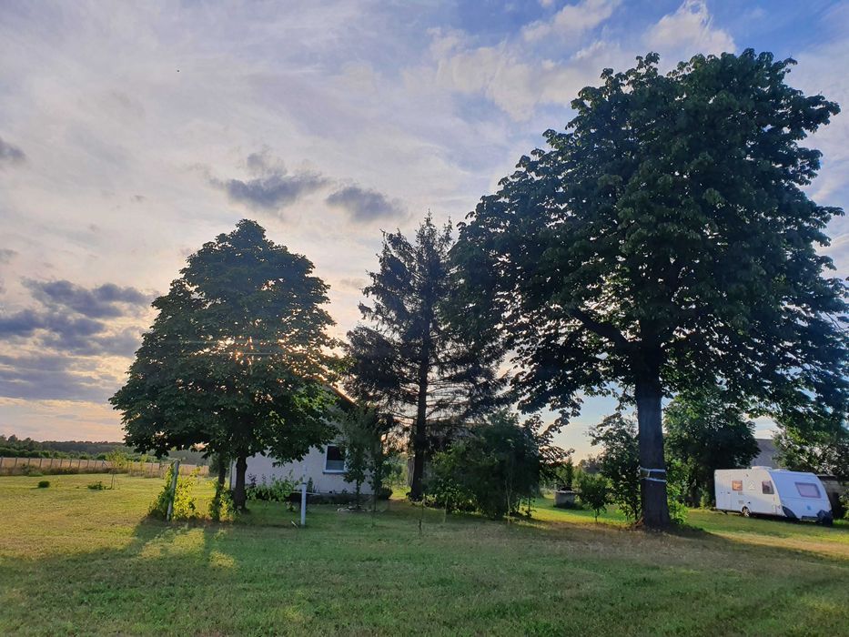 siedlisko Dąbrowa. Zdjęcie 8