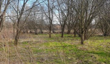 Działka rolna Niepołomice Piaski, ul. Torfowa