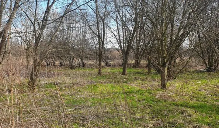Działka rolna Niepołomice Piaski, ul. Torfowa
