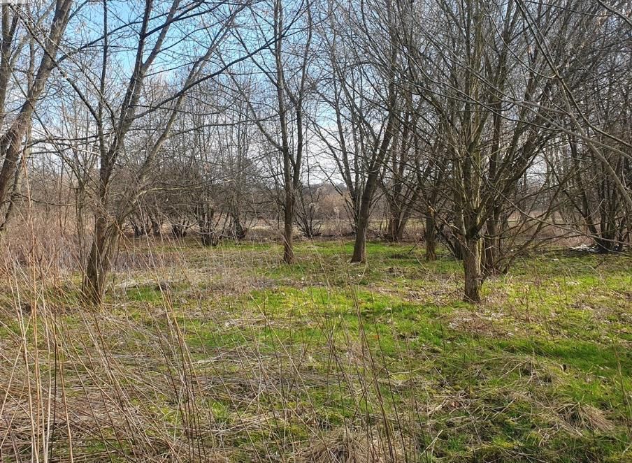 Działka rolna Niepołomice Piaski, ul. Torfowa