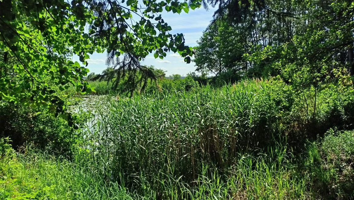 Działka budowlana Izbiszcze. Zdjęcie 7