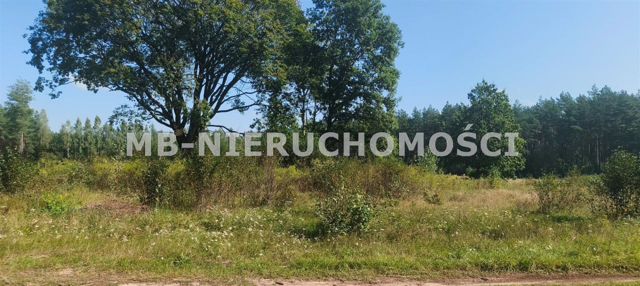 Działka siedliskowa Barczewko. Zdjęcie 2