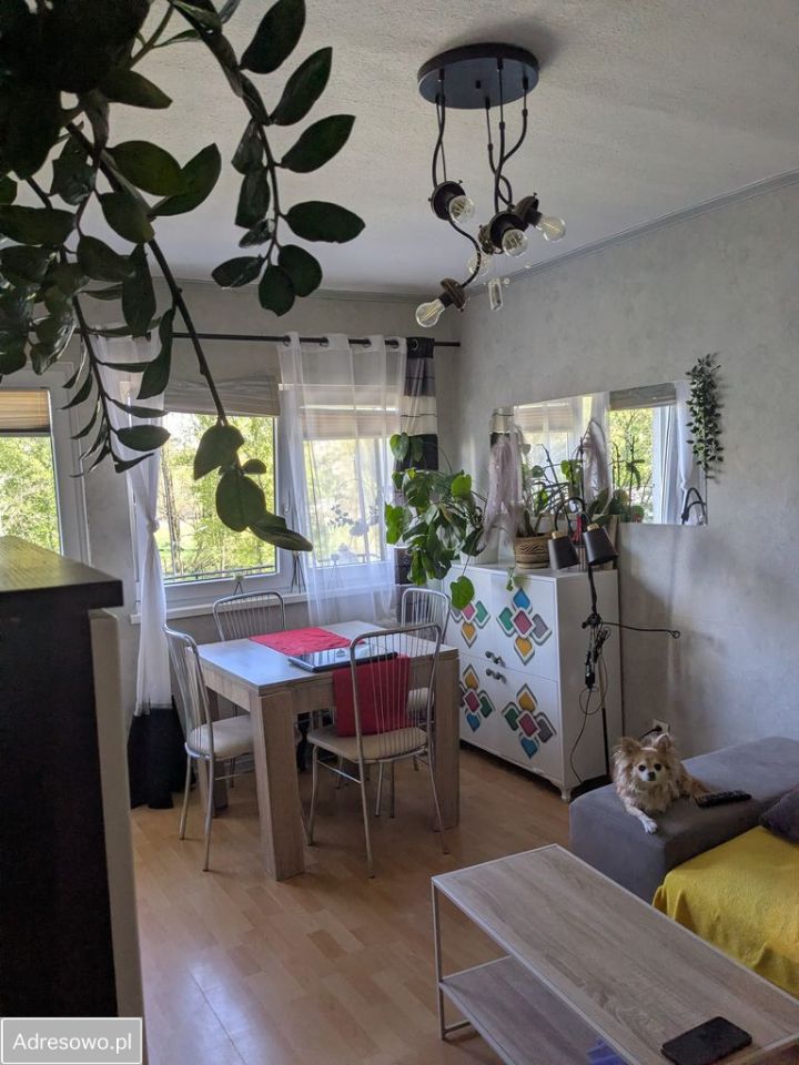 Mieszkanie 2-pokojowe Łódź Teofilów, ul. Rojna. Zdjęcie 20