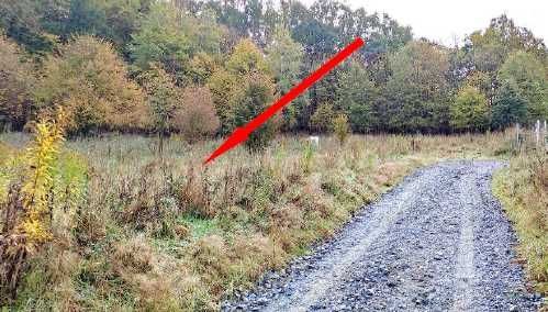 Działka budowlana Bystrzyca Górna. Zdjęcie 1
