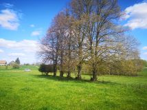 Działka siedliskowa Babieniec. Zdjęcie 4