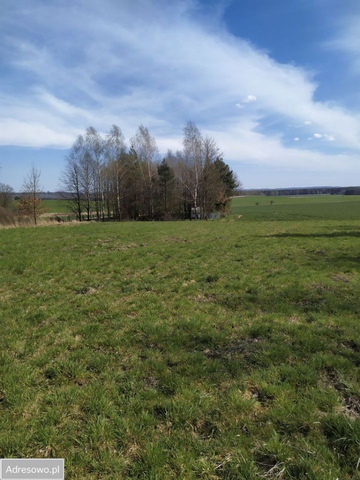 Działka budowlana Myszków Mrzygłódka, ul. Kwarcowa. Zdjęcie 3