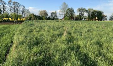 Działka rolno-budowlana Zajączkowice