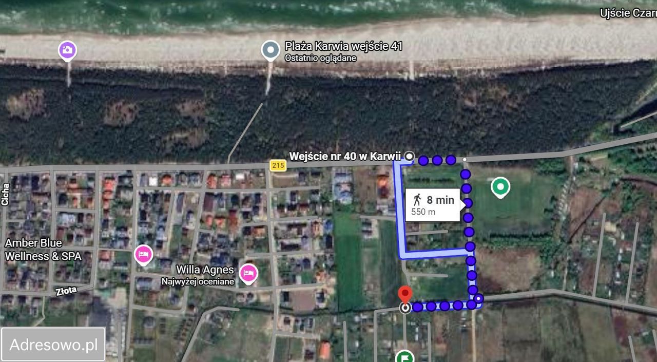 Działka rolna Ostrowo. Zdjęcie 2