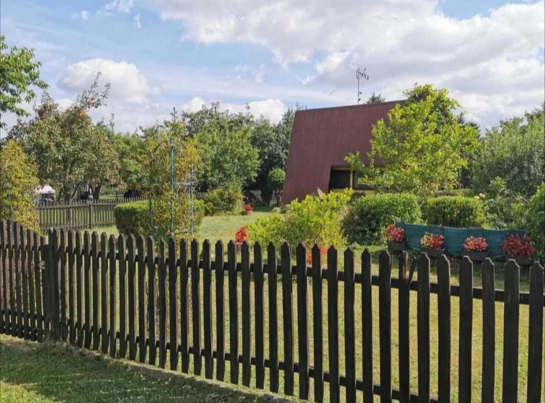 Działka rod Wolbrom. Zdjęcie 6