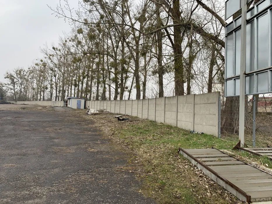 Działka inwestycyjna Chojna, ul. Polna. Zdjęcie 7