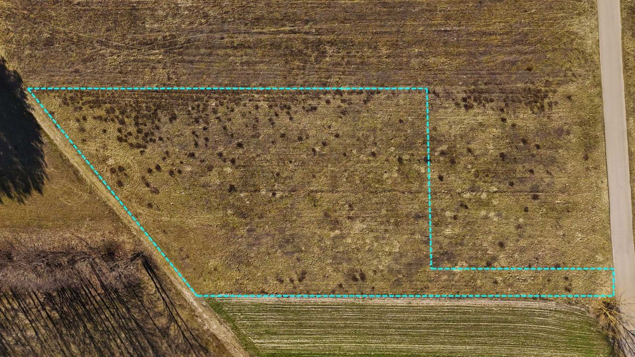 Działka budowlana Wilczogęby. Zdjęcie 5