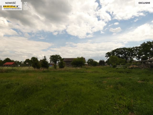 Działka budowlana Stepniczka, ul. Barnima II. Zdjęcie 5