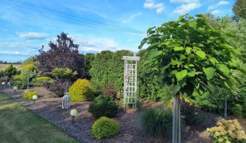 Działka siedliskowa Dąbrowice Dzięgost