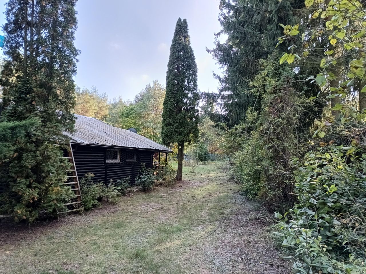 Działka budowlana Adamów-Wieś, ul. Sarnia. Zdjęcie 7