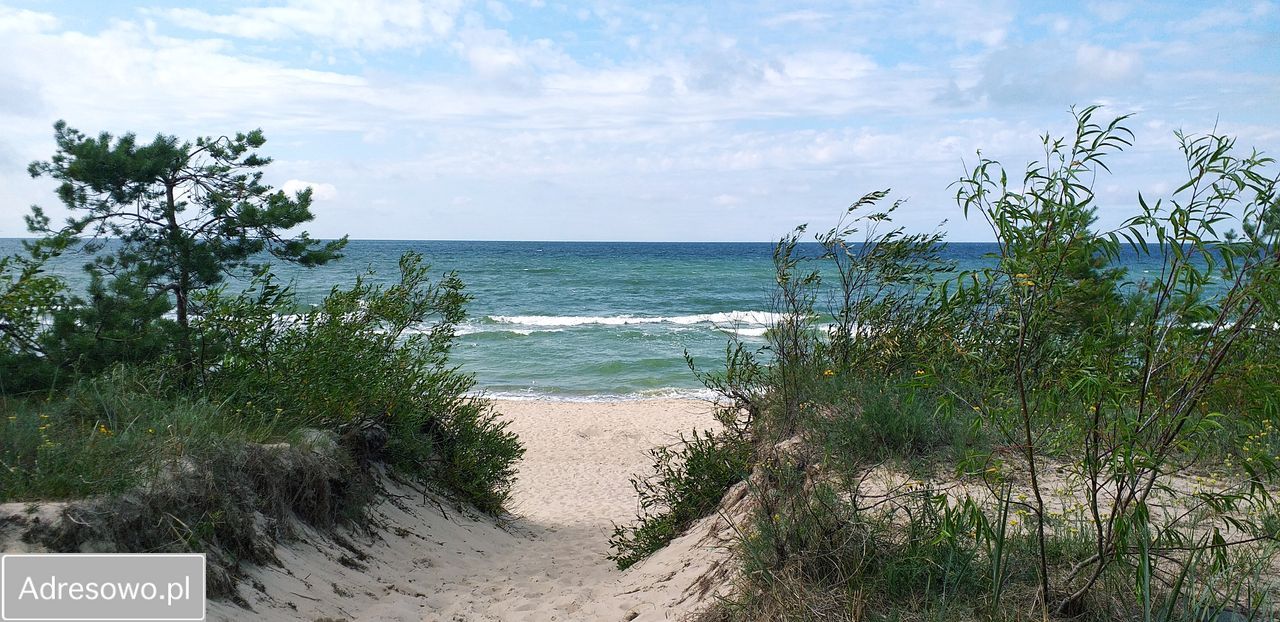 dom wolnostojący, 10 pokoi Mielenko. Zdjęcie 15