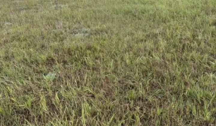 Działka budowlana Grzybowo