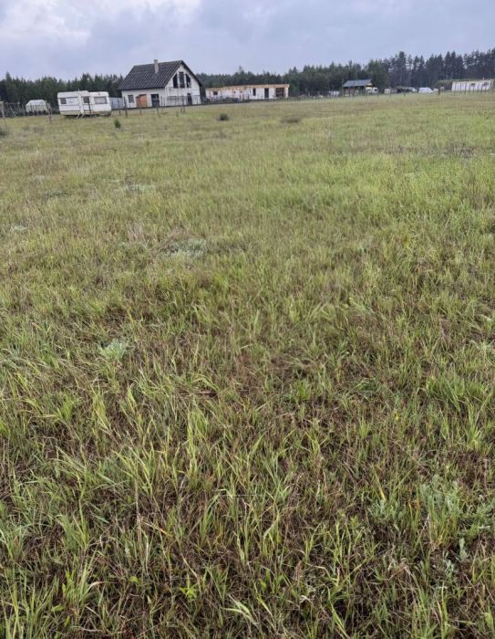 Działka budowlana Grzybowo. Zdjęcie 1