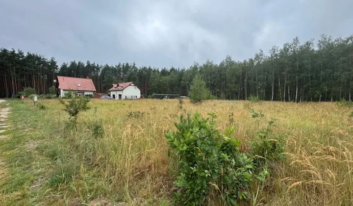 Działka siedliskowa Kuźnica Głogowska Myszyniec