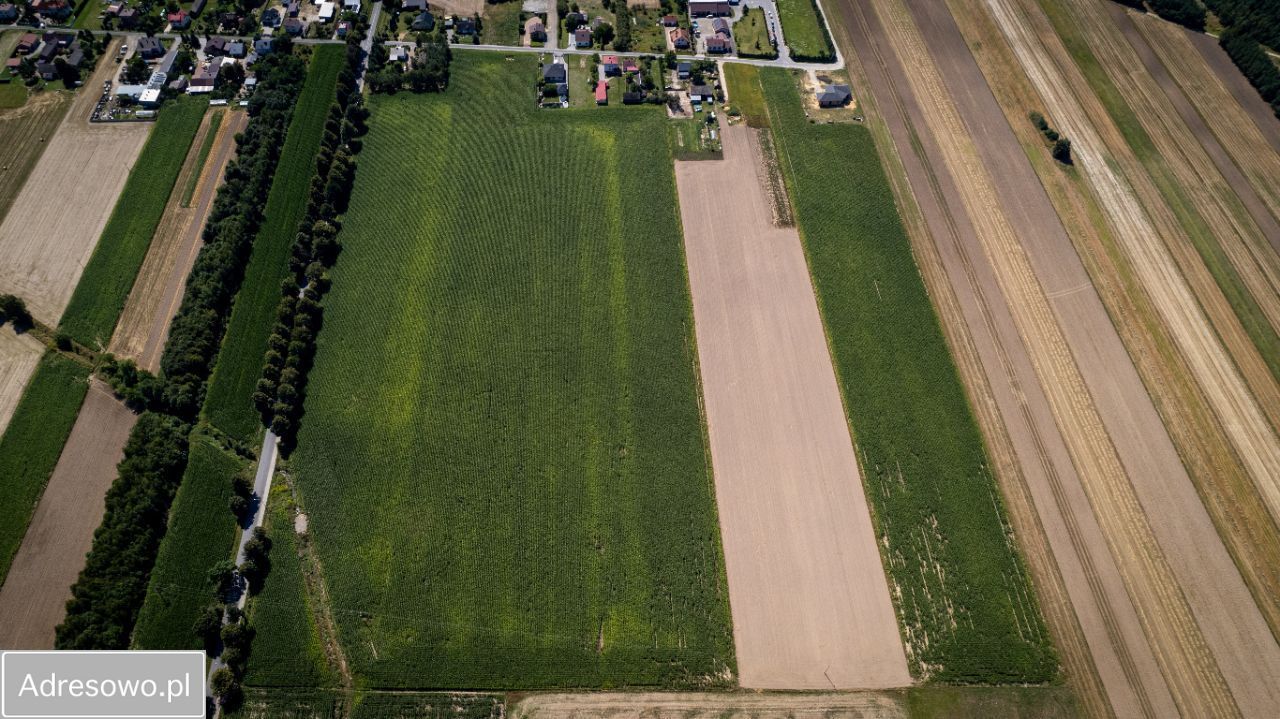 Działka inwestycyjna Sokolniki. Zdjęcie 4