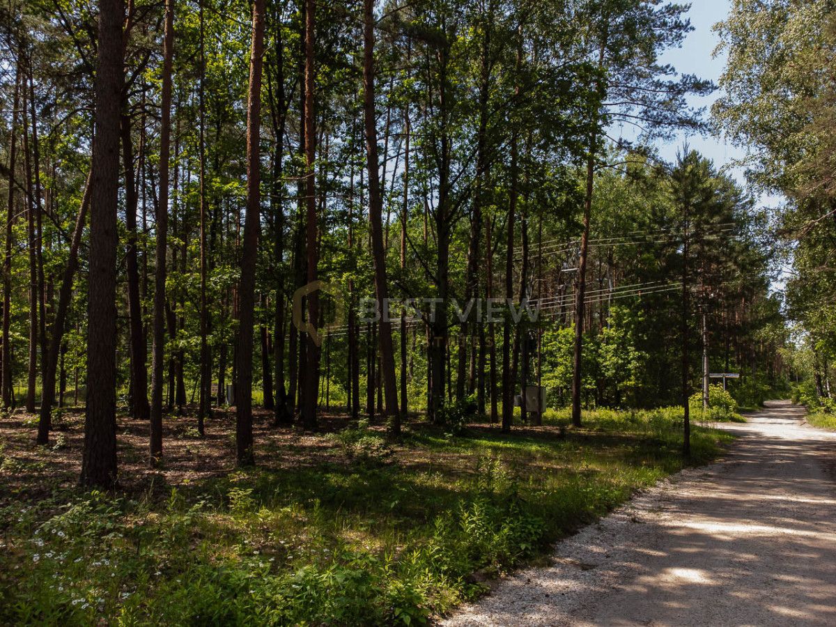 Działka budowlana Sękocin-Las, ul. Księżnej Zofii Czetwertyńskiej. Zdjęcie 1