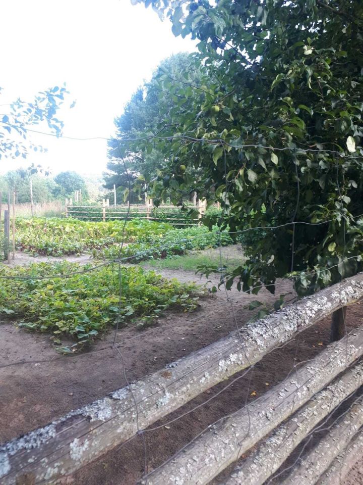 dom Łęczyn. Zdjęcie 7