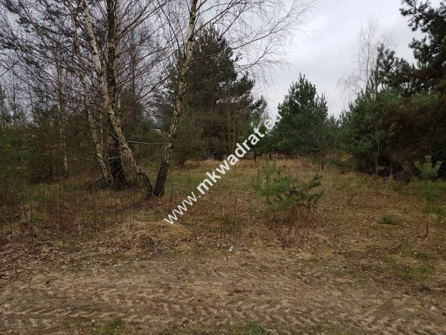 Działka budowlana Żelechów, ul. Topolowa. Zdjęcie 8