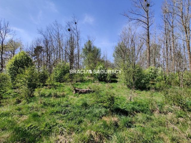 Działka rekreacyjna Łukta. Zdjęcie 7
