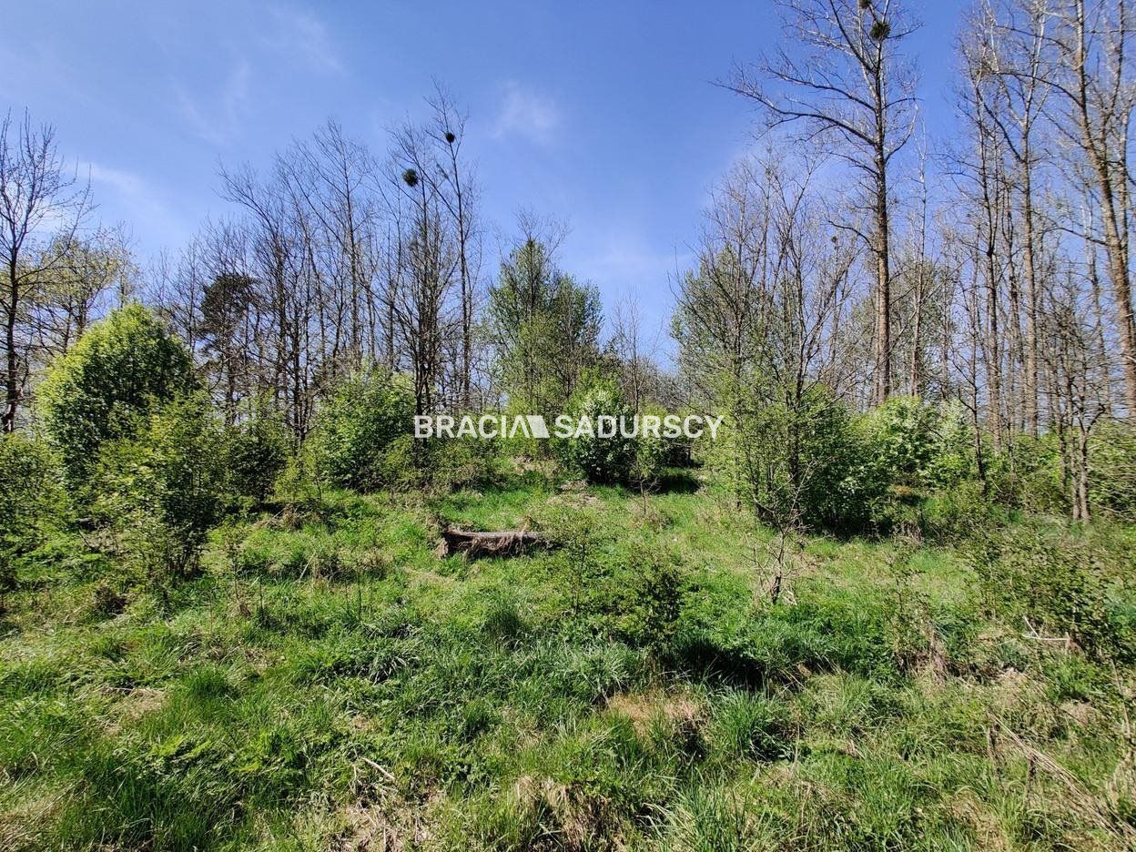 Działka rekreacyjna Łukta. Zdjęcie 7