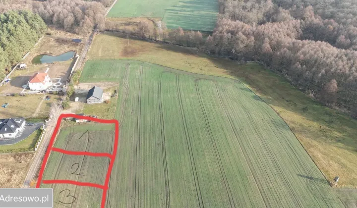 Działka rolno-budowlana Bolewicko