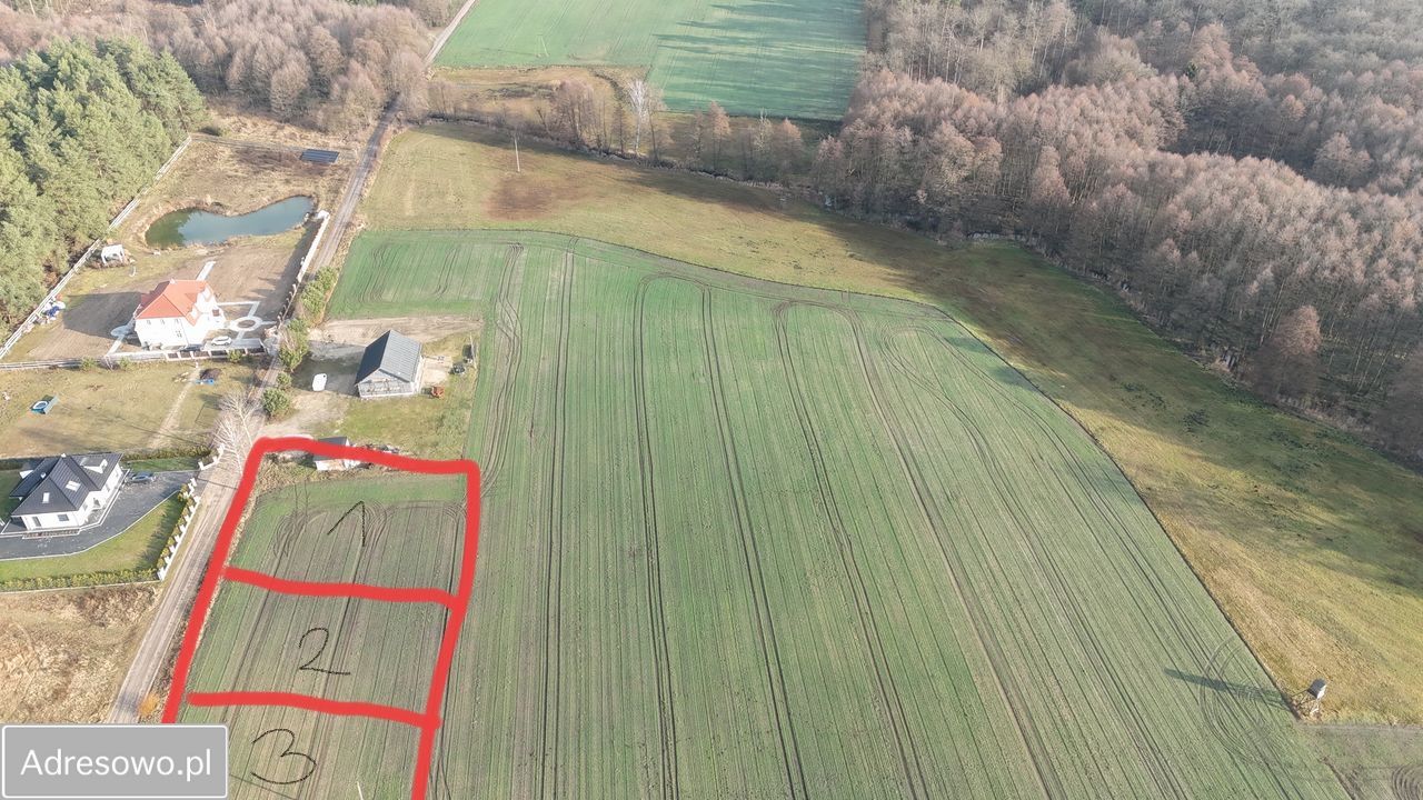 Działka rolno-budowlana Bolewicko. Zdjęcie 1