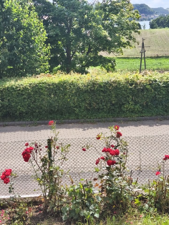 dom wolnostojący, 6 pokoi Chmielno, ul. Kuby. Zdjęcie 14