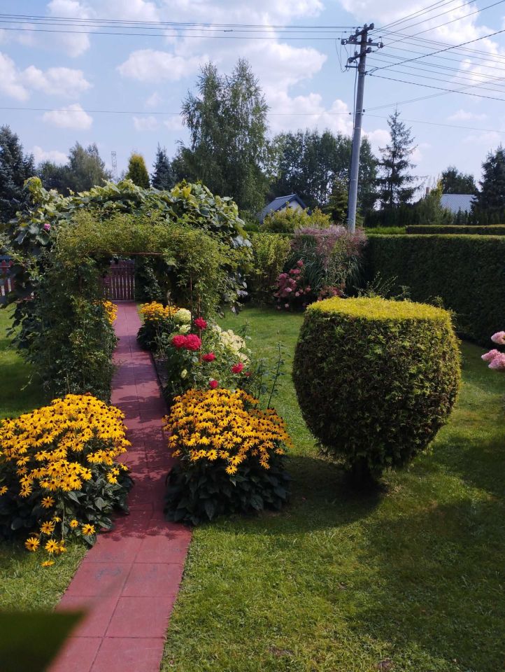 Działka rod Pawlikowice. Zdjęcie 14